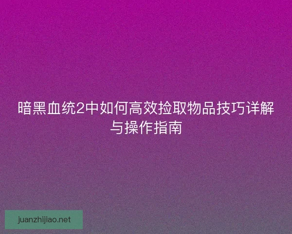 暗黑血统2中如何高效捡取物品技巧详解与操作指南